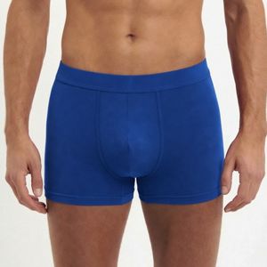 Blue Boxers