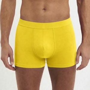 Yellow Boxers