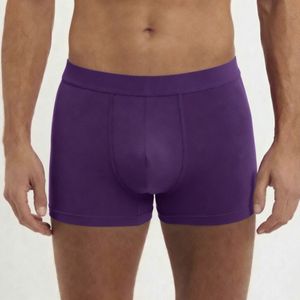Purple Boxers