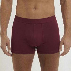 Burgundy Boxers