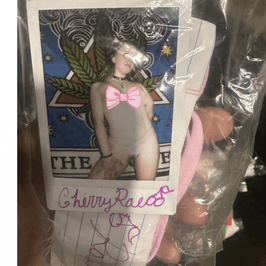 Pink Lace Thong Slut Sunrae_Fae Bundle