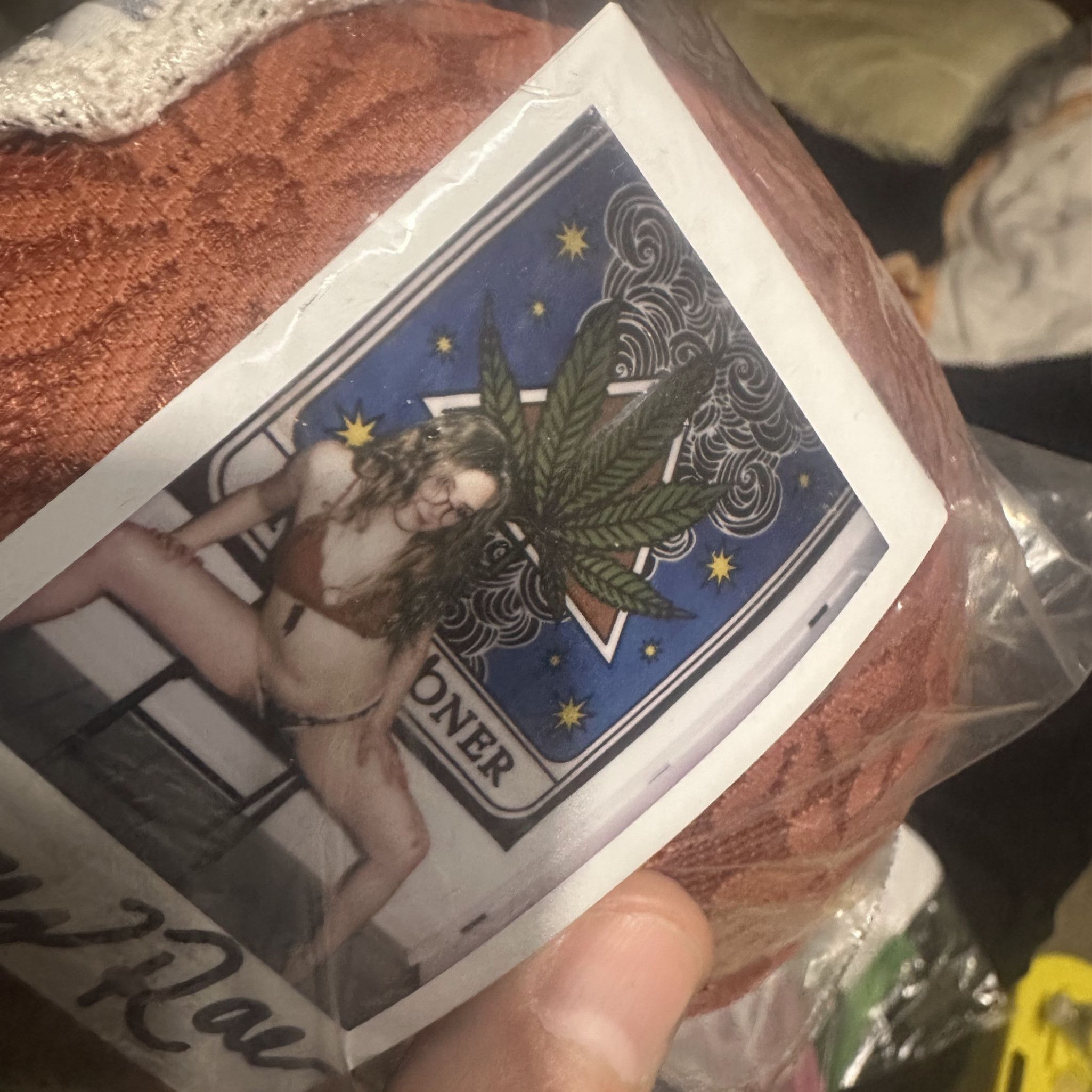 Copper Brown  Bra  and  Floral Panty Polaroid Bundle