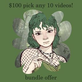 10 videos for 100 bundle