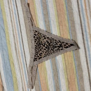 Cheetah Lace G string thong