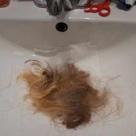 haircut process and lewds