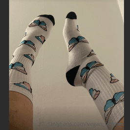 BUTTERFLY TRANS PRIDE SOCKS!!!