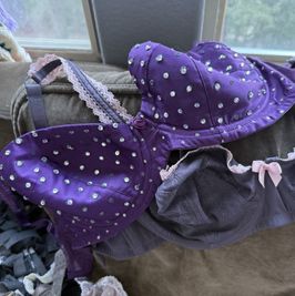 Rhinestoned Purple Bra