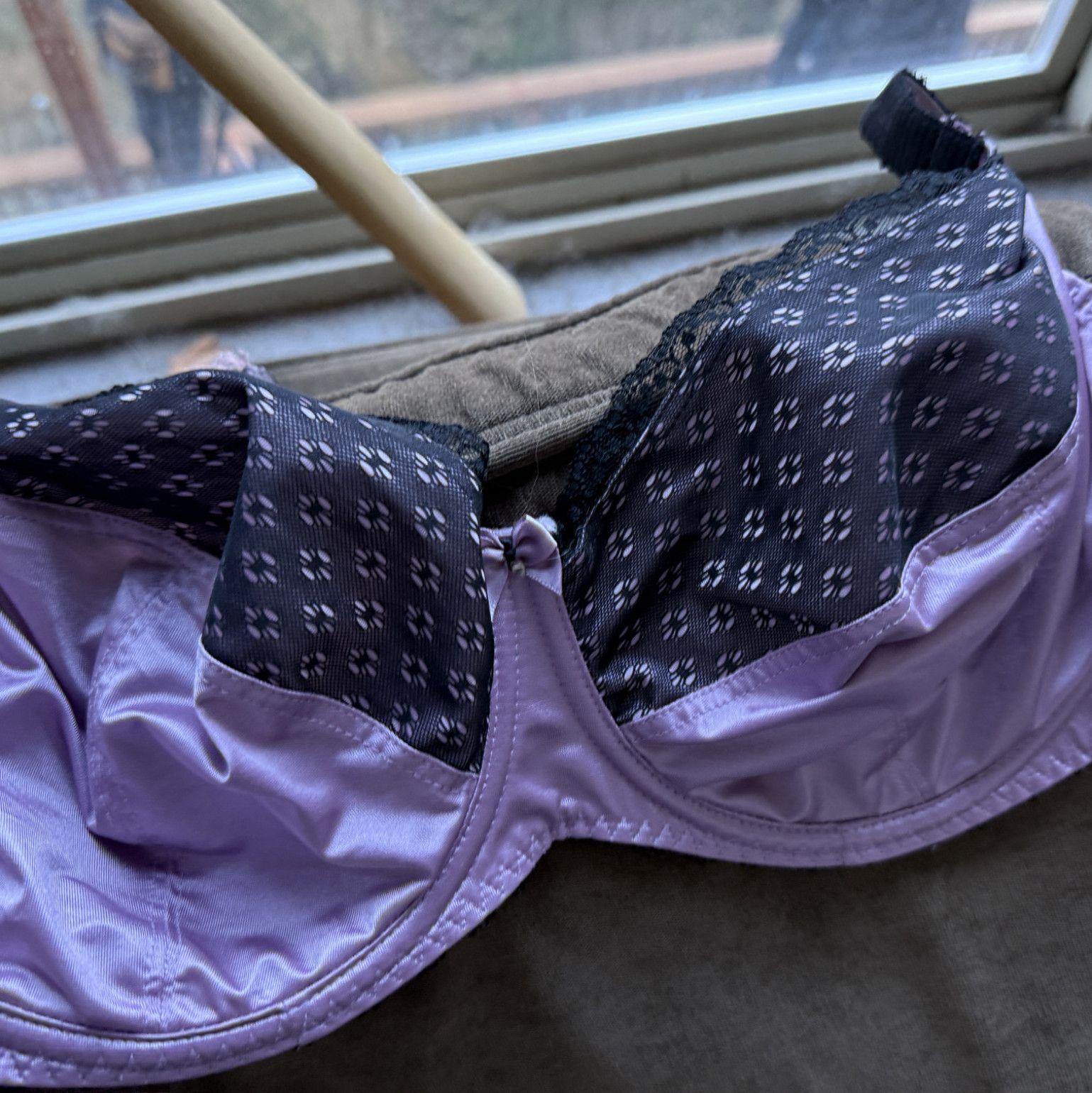 Purple Soft Cup Bra