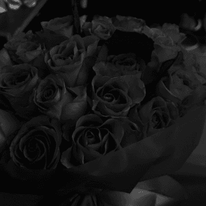 66 Flowers