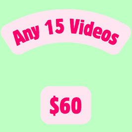 Video Bundle
