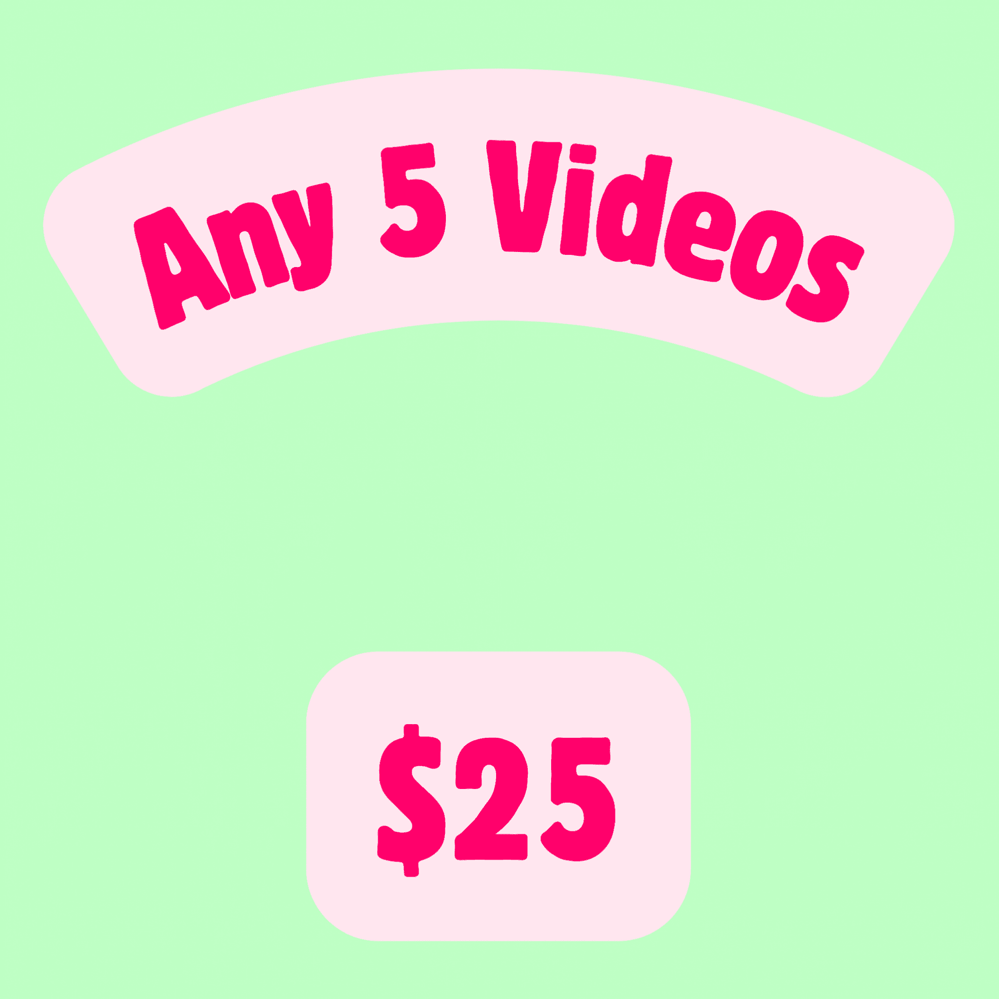 Video Bundle