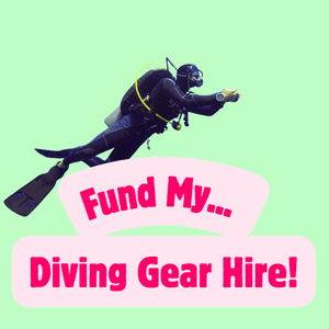 Fund My Diving Gear Hire!