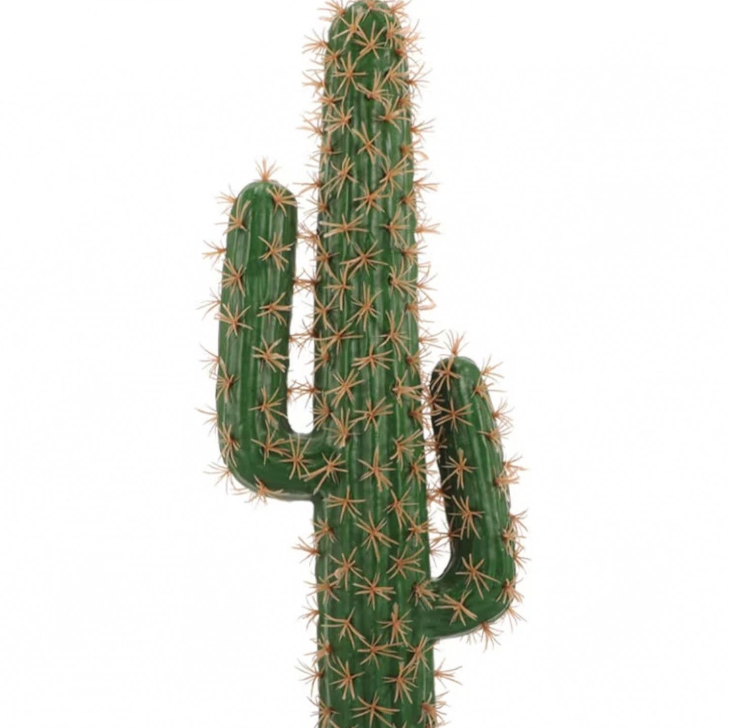 Treat Me to a cactus