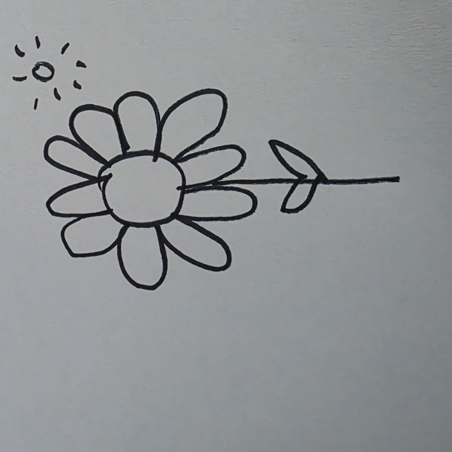 A drawing of a beautiful flower on a summers day