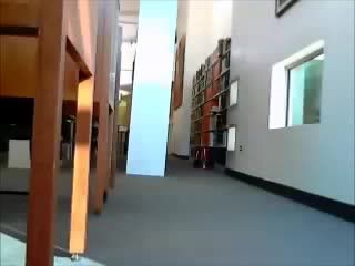 Ginger Banks Library Shows 8