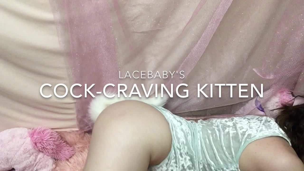 Cock-Craving Kitten