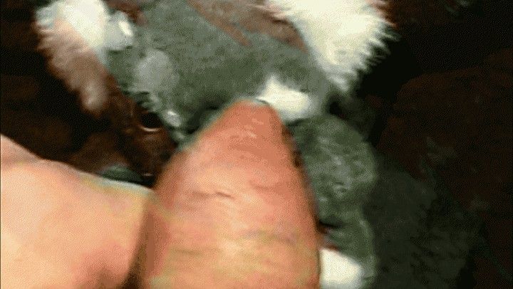 BUKKAKE XXX - MEGA CUM SHOTS THICK CREAM