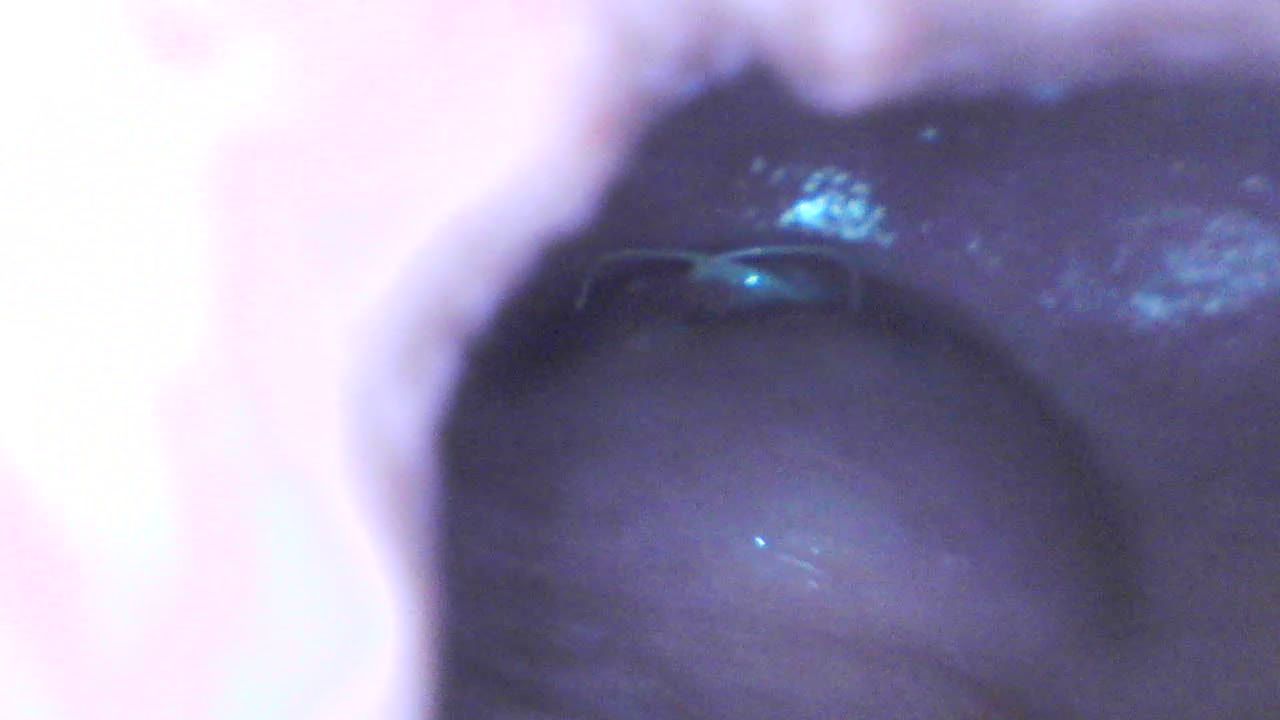 A true tour of my pussy