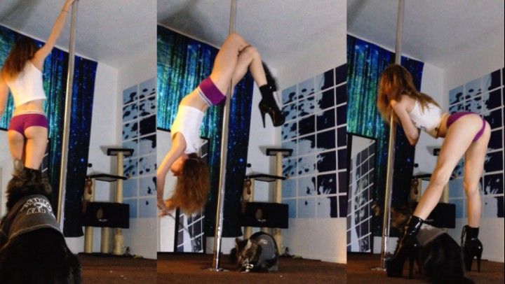 X-POLE Contest Submission