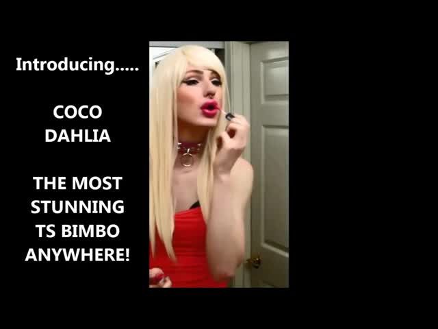 TS BIMBO TRANSFORMATION COCO DAHLIA
