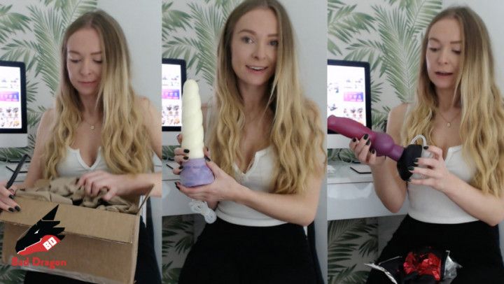 My new bad dragon toys