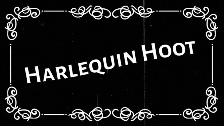 Harlequin Hoot
