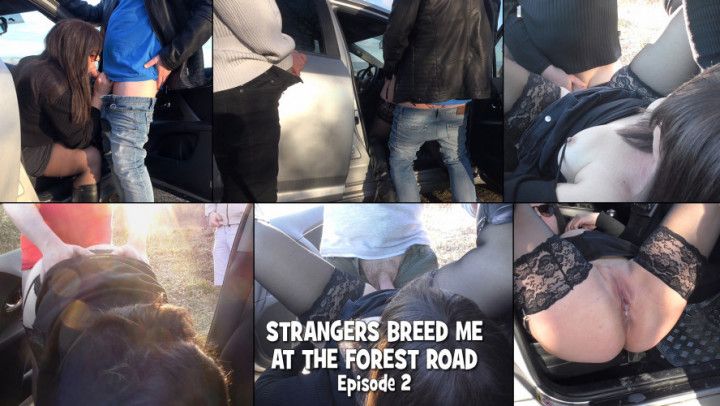 Strangers breed me at the forest road 2