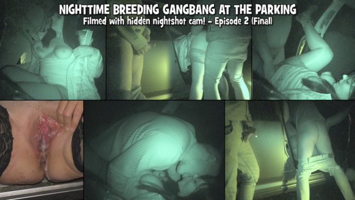 Nighttime breeding gangbang at the parking - Episode 2