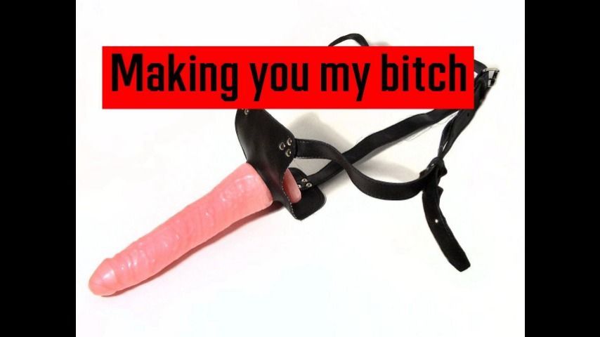 Making you my bitch