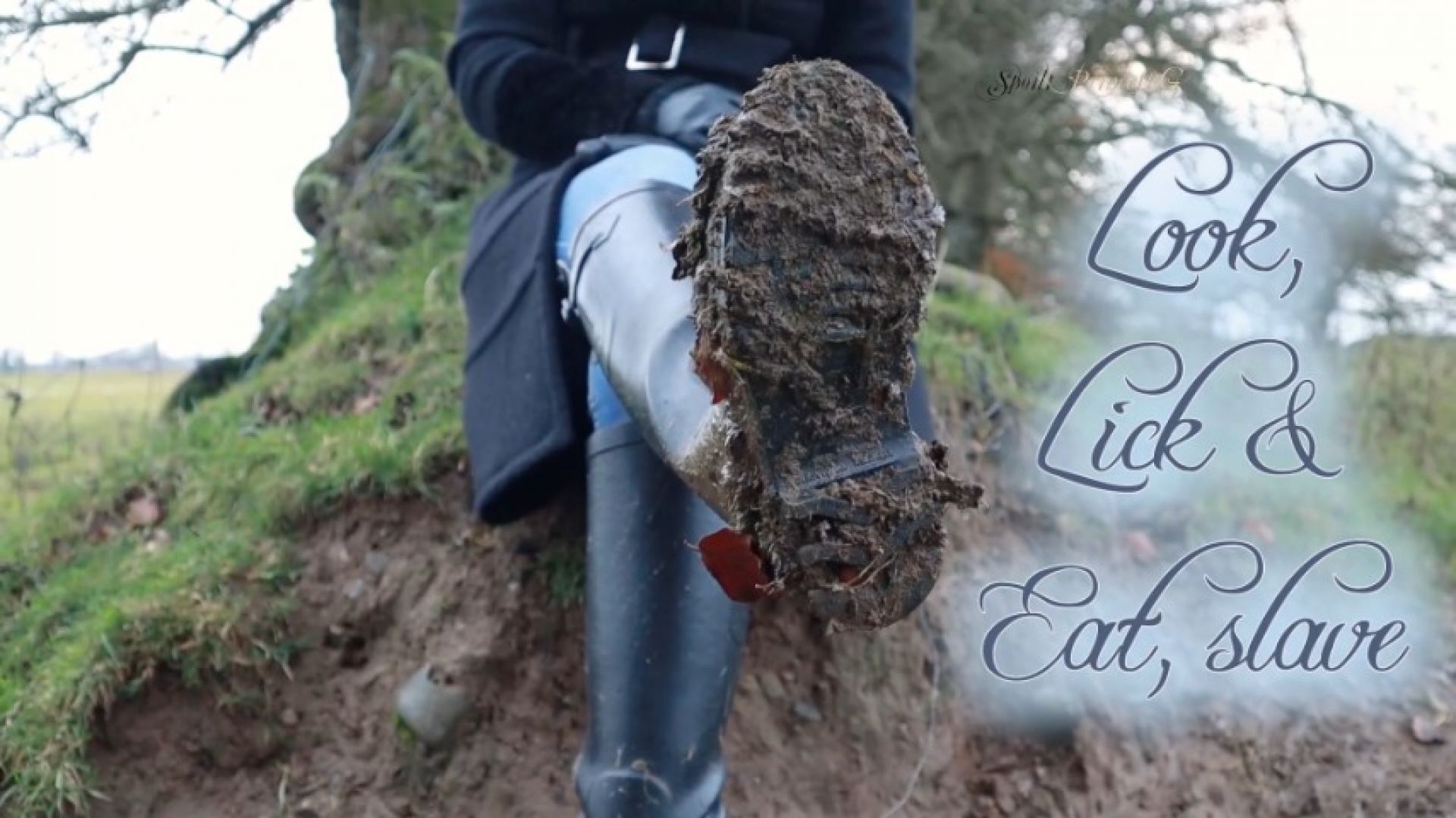 Look, Lick and eat, slave