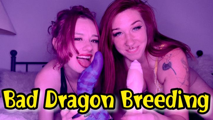 Bad Dragon Breeding