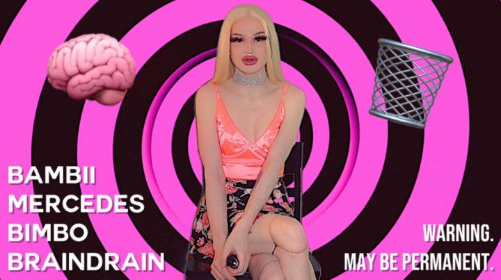 Bambii Mercedes Bimbo Braindrain