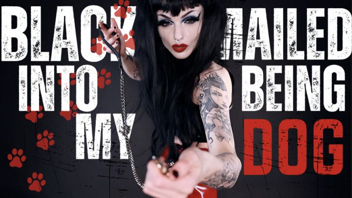 Blackmailed Into Being My pet