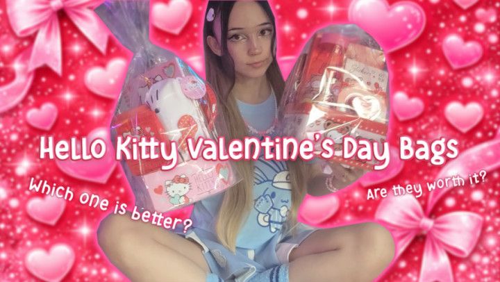 Kitty Valentine's Day Bags