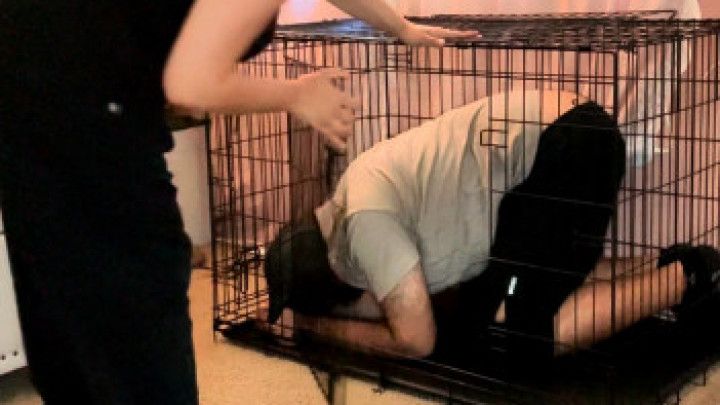 Scraps for the Slave: Caged, Starving, and Grateful