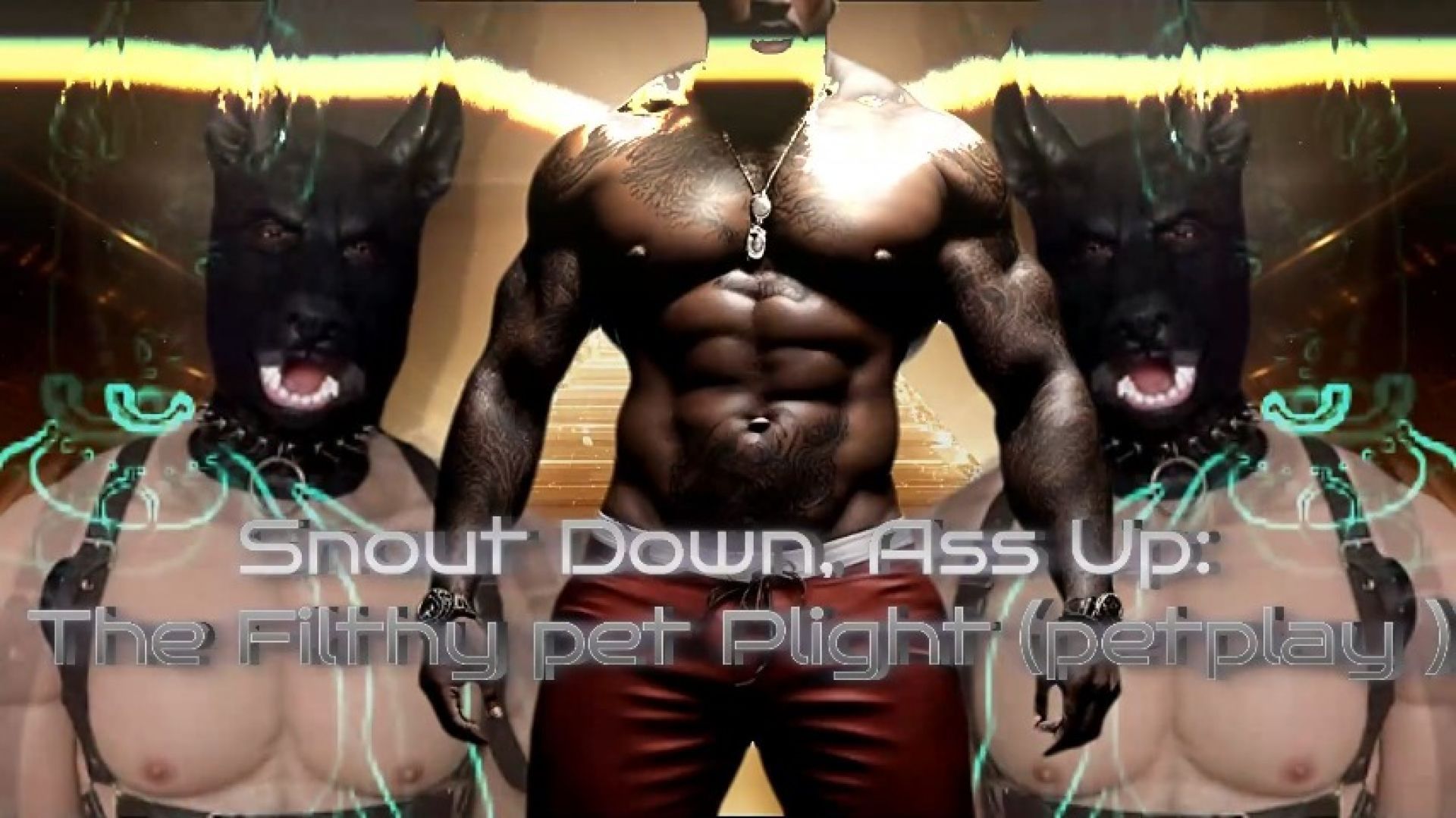 Snout Down, Ass Up The Filthy pet Plight 