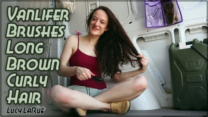 Vanlifer Brushes Long Brown Curly Hair