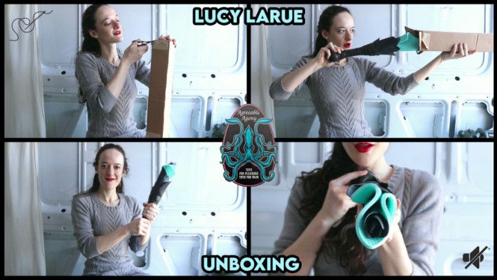 Agreeable Agony Flogger Unboxing No Sound