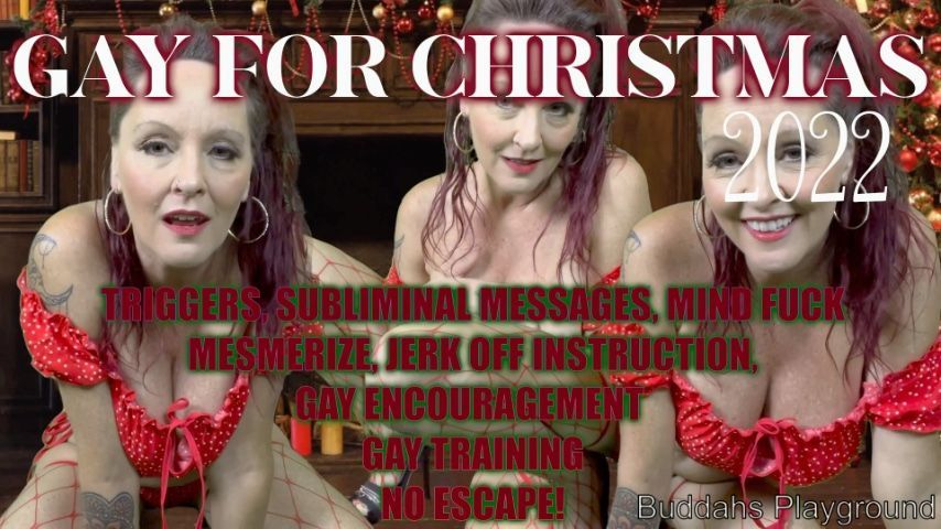 Gay fro Christmas