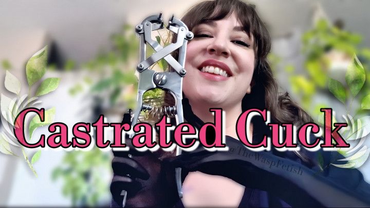 Castrated Cuck
