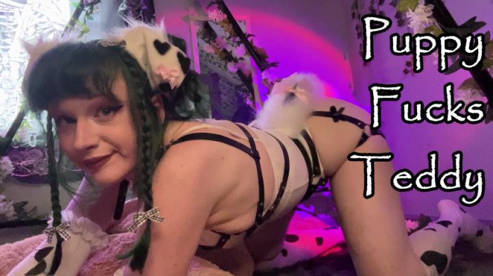 P*ppy Fucks Teddy Bear