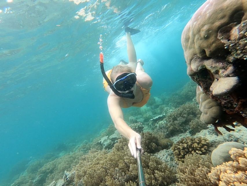 Tropical Snorkel In Split Screen