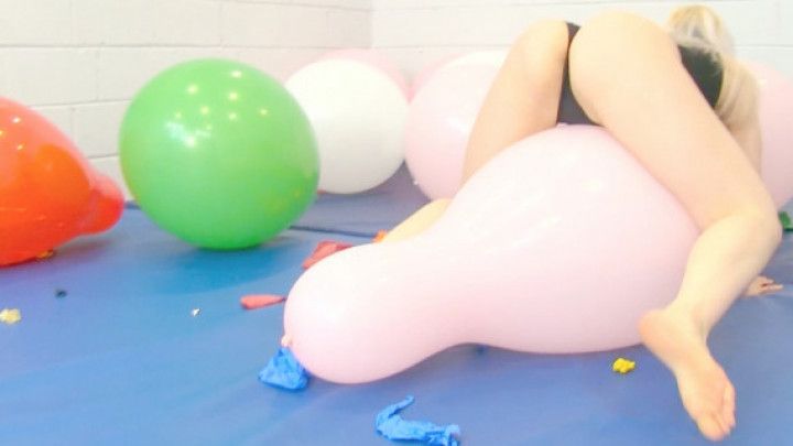 Galas Q24 &amp; Tuftex 24" POPs