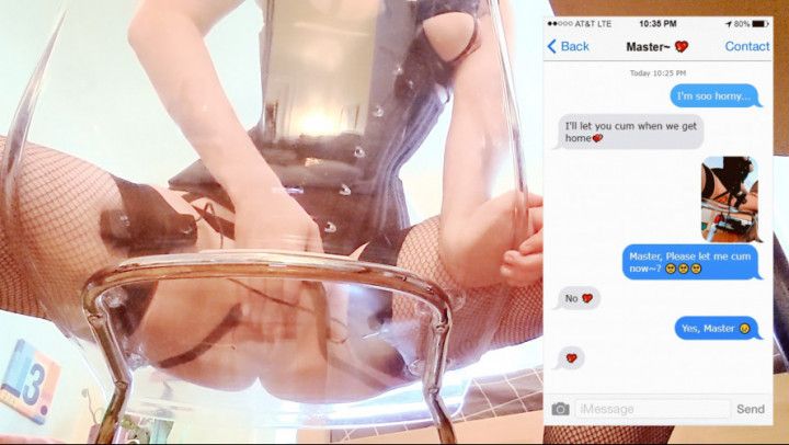 Date Night - Master and Their Pet