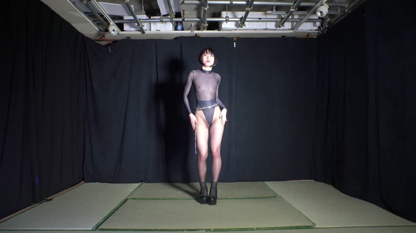 Transparent Leotard and Pantyhose Strip