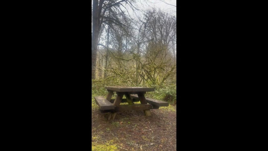 Video screenshot