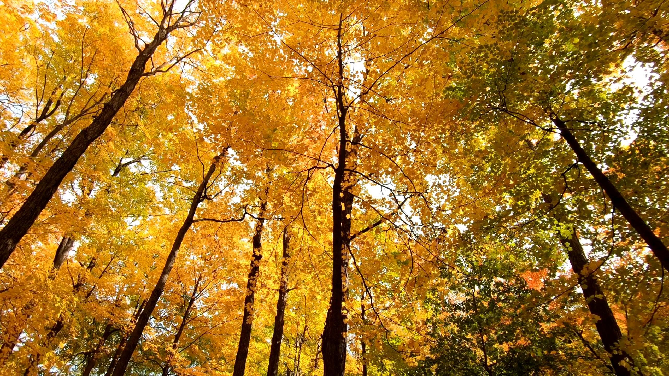 test auto post 12
