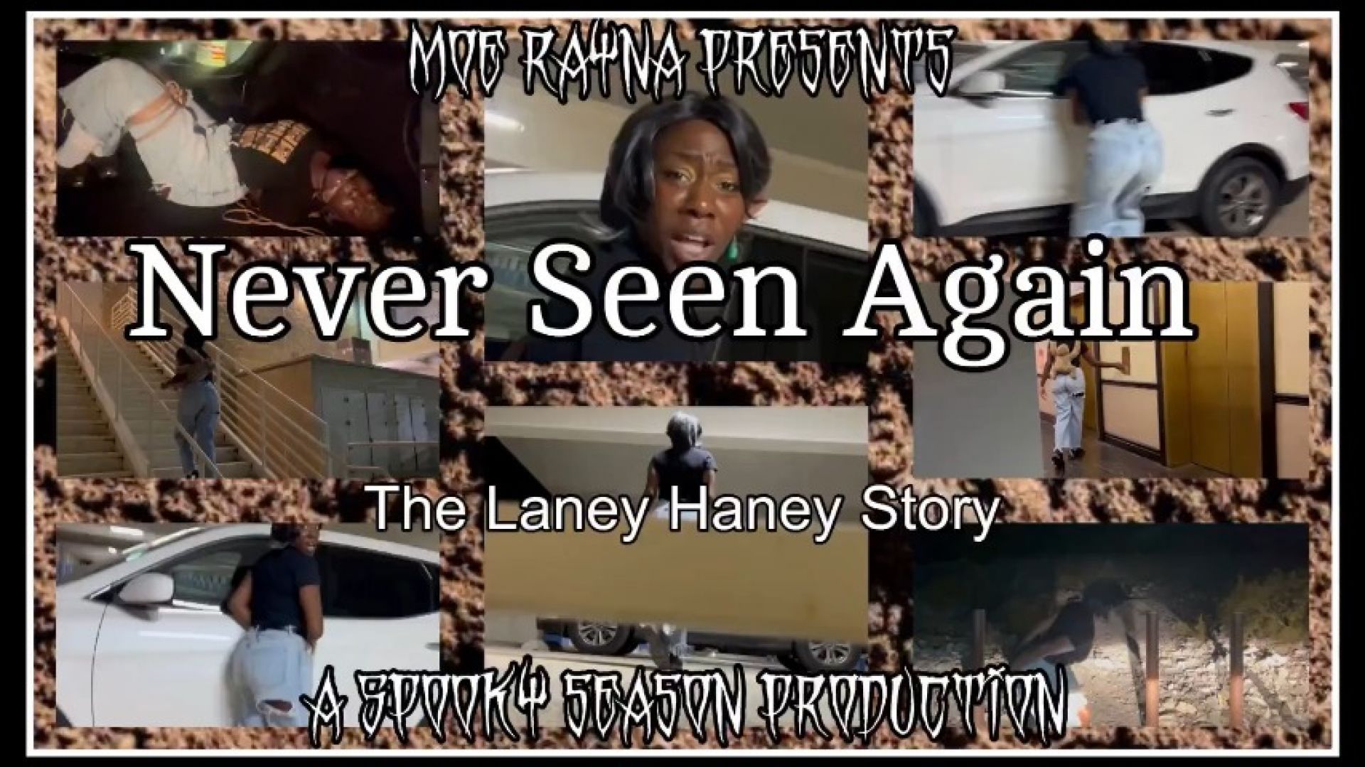NEVER SEEN AGAIN- THE LANEY HANEY STORY
