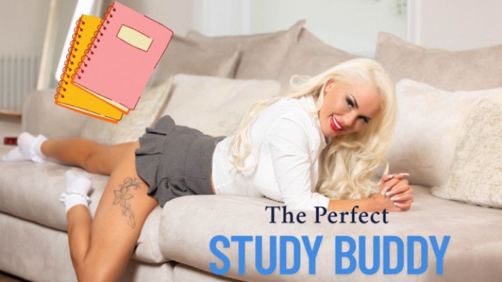 The Perfect Study Buddy