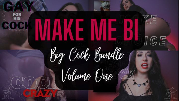 Make Me Bi: Big Cock Bundle Volume One